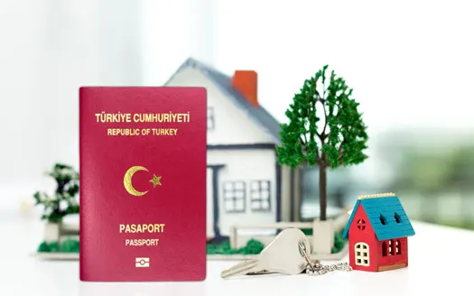 قانون الحصول على الجنسية التركية